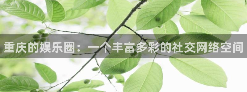 森林游戏建筑蓝图