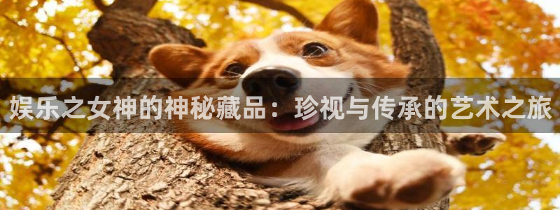 蓝图娱乐注册