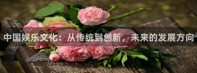 蓝图游戏：中国娱乐文化：从传统到创新，未来的发展方向